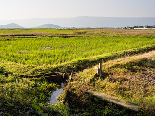 Farms and rice fields inside Aso volcanic caldera - Kumamoto prefecture, Japan