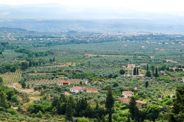 Fototapeta na wymiar panoramic view of the classic greek landscape with olive groves from Mystras hill
