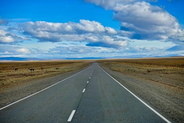 A road in the pampas