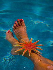 Woman's legs with starfish at the pool