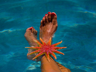 Woman's legs with starfish at the pool
