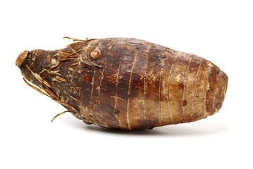 Taro on a white background