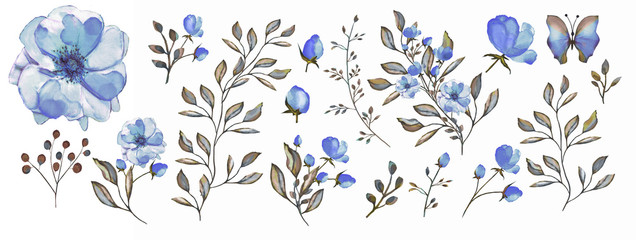 Watercolor illustration. Botanical collection.  Set: leaves, flowers,branches, herbs and other natural elements. Blue flowers.