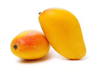 Mango on a white background