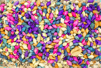 Fototapeta na wymiar colorful seashells background. Top view