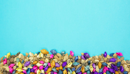 Fototapeta na wymiar colorful seashells background with copy space