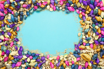 colorful seashells background with copy space