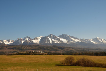 snow-covered mountain peaks  with grass landscape in the spring  High Tatras Slovakia