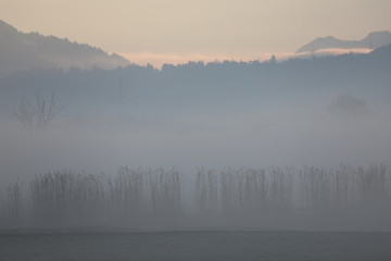 Morgenspaziergang 