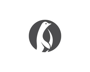 Penguin logo vector