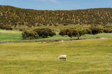 Extremadura