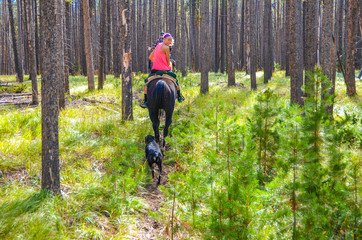 Horseback ride at Medicine Bow National Forest in Wyoming.