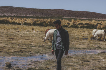 Obraz premium Road trip Sud Lipez Bolivie