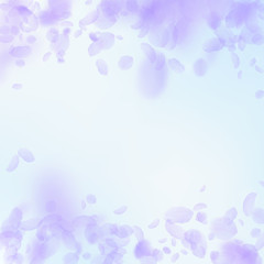 Obraz na płótnie Canvas Violet flower petals falling down. Gorgeous romant