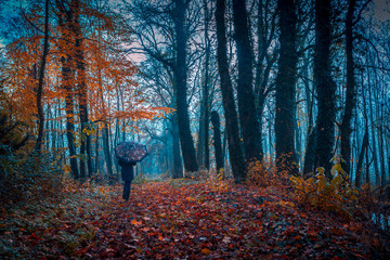 old park in fall