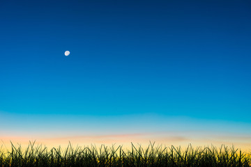 The moon and the morning atmosphere before sunrise.