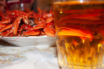 Boiled crayfish and light appetizing beer