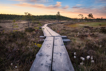 Scenic view from swamp with wooden path at summer morning in Torronsuo National park, Finland