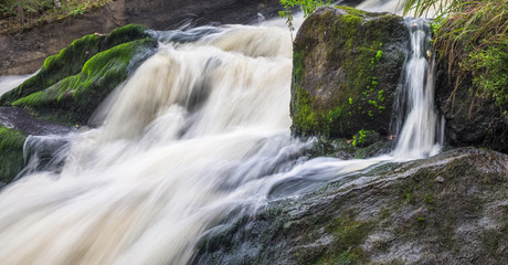 Obraz premium The rapid flow of the river, rocky coasts, rapids, bright green vegetation in Finland