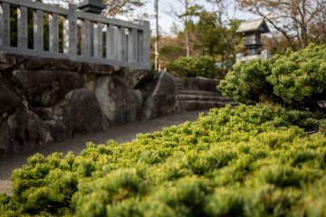 神社の風景