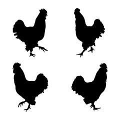 Rooster black silhouette