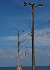 Power lines soar into blue sky