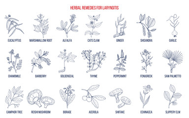 Fototapeta na wymiar Best herbal remedies for laryngitis