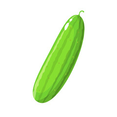 A green cucumber on white Background