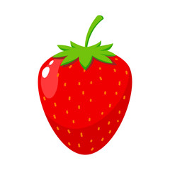 The red strawberry, Isolated Vector Illustration