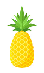 Yellow Pineapple Fruit. Isolated Vector Illustration