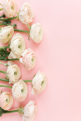 Obraz na płótnie Canvas Pastel pink ranunculus flowers bouquet on pink background. Minimal floral concept. Flat lay, top view.