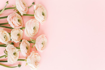 Pastel pink ranunculus flowers bouquet on pink background. Minimal floral concept. Flat lay, top view.