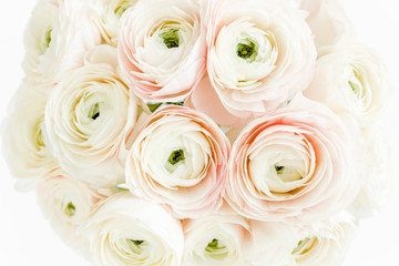 Bouquet of a lot of ranunculus pink color close up. Flat lay, top view. Ranunculus flower texture. 
