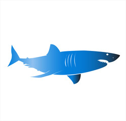 shark vector logo