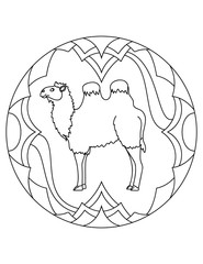 Mandala with an animal. Bactrian camell in a circular frame. Coloring page for kids and adults.