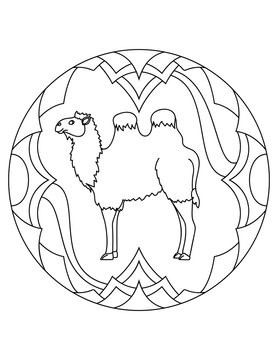 Mandala with an animal. Bactrian camell in a circular frame. Coloring page for kids and adults.
