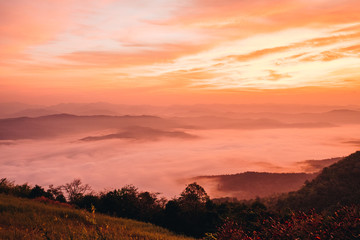 Obraz premium Dawn of Sea Fog on the top of the Sierra at Doi Samer Dao, Nan, Thailand 
