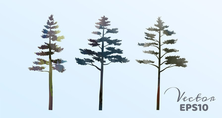 Set of watercolor pine trees . Vector illustration