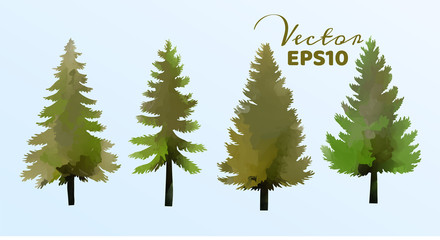 Set of watercolor pine trees . Vector illustration