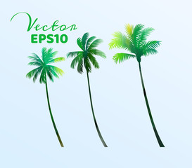 Fototapeta premium Set of watercolor palm trees . Coconut plant isolated. Vector illustration