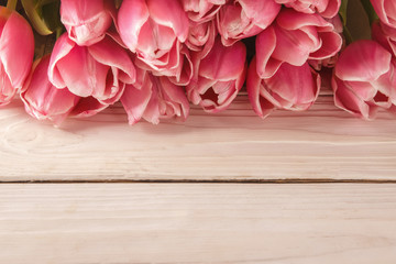 Pink tulip flower on wood background with copy space