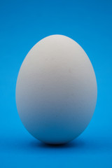 Uovo bianco con sfondo blu.