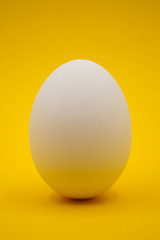 Uovo bianco con sfondo giallo.