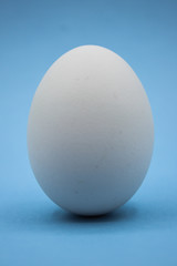 Uovo bianco con sfondo celeste.