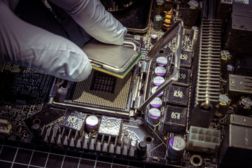 expert is inserting CPU, processor into the motherboard socket