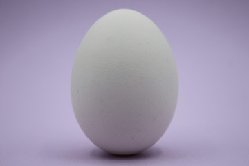 Uovo bianco con sfondo rosa.