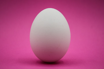 Uovo bianco con sfondo viola.