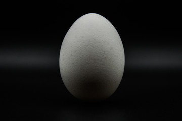 Uovo bianco con sfondo nero.
