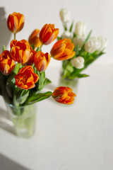 Two vases with spring orange and white tulips