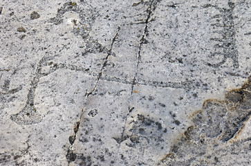 Naklejka premium Felsritzungen bei Simrishamn Schweden